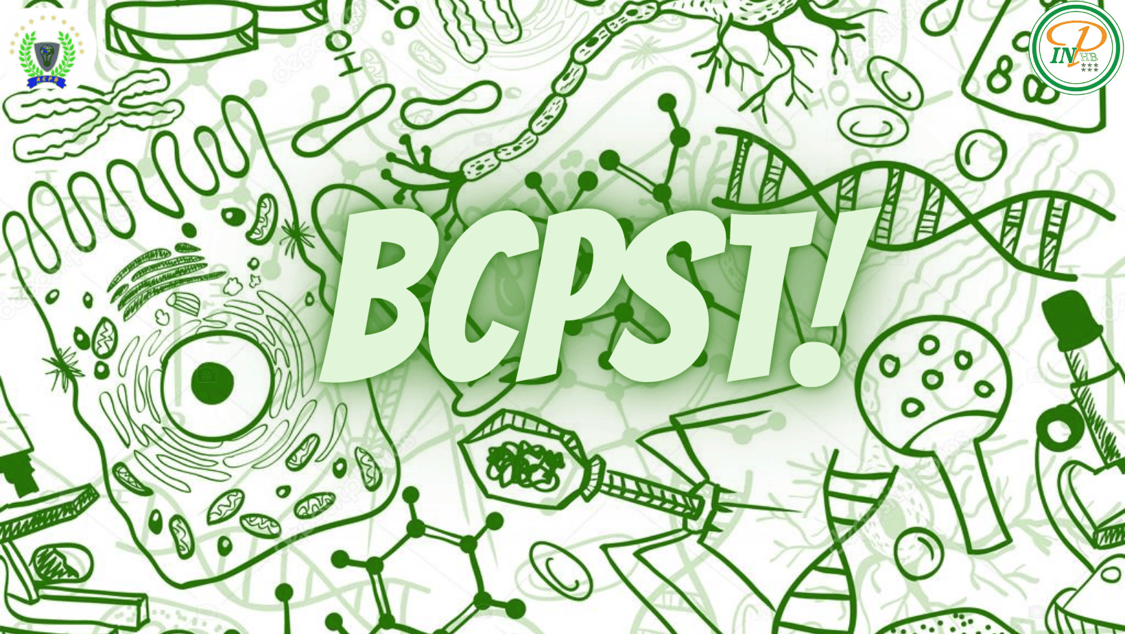 image-bcpst